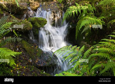 Small Waterfalls In Rainbow Springs State Park Florida Stock Photo Alamy