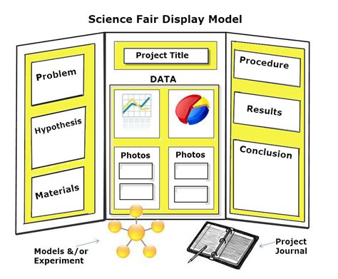 7th Grade Science at Stanley: Science Fair: Designing a Display