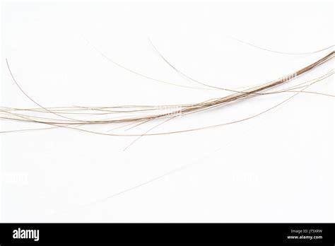 Strands Of Human Hair On White Background Stock Photo Alamy