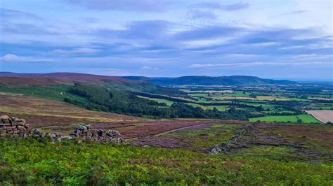 Heather Bloom 2020 North York Moors Northern Landscapes By Steven Iceton