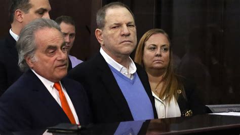 special victims sergeant who led weinstein inquiry is under investigation the new york times