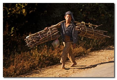 Niño Cargando Leña Boy Carrying Wood Photo Antonio Alomar Photos At
