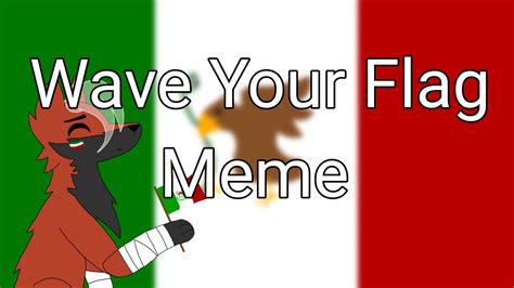 Wave Your Flag Meme Youtube