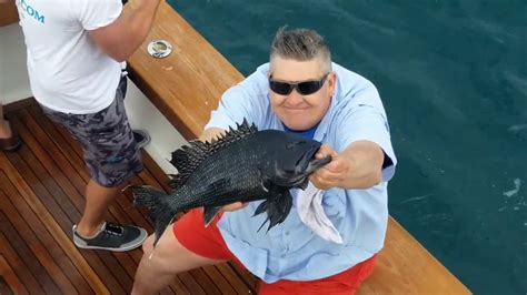 Virginia Wreck Fishing Cranking Black Sea Bass As Fast As You Can Catch Them YouTube