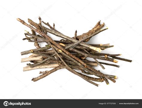 Branches Pile Isolated Dry Twigs Pile Ready Campfire Sticks Boughs