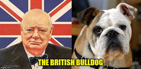 Image Tagged In Kedar Joshiwinston Churchillbritish Bulldogbulldog