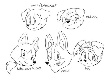 Pin By Lex Farlow On Sonic How To Draw Sonic Character Design
