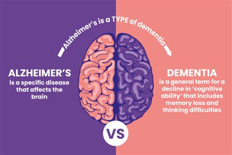 What S The Difference Between Alzheimer S And Dementia