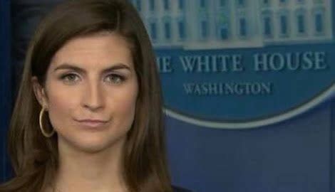 Kaitlan Collins CNN Reporter Banned From White House Bio Wiki