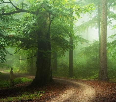 Country Road In An Enchanted Forest Germany By Heiko Gerlicher Cr
