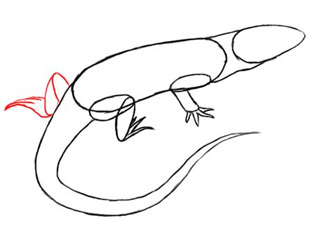 How To Draw A Lizard Draw Central