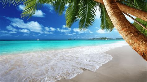 Can we talk about the beach scene okay? 11 Amazing Android Live Wallpapers for Summer