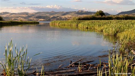 Madison River in Montana Picture Tour