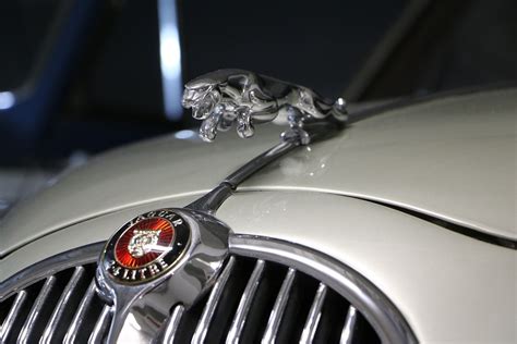 Jaguar Car Emblem · Free Photo On Pixabay