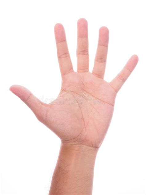 Male Hand Showing Five Fingers Stock Image Image Of Sign Person