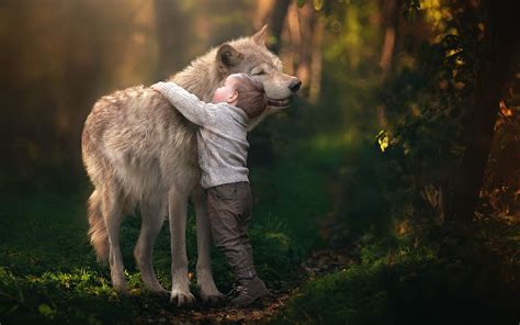 little boy hugging a wolf in forest on sunny day hd wallpaper | Wolf in