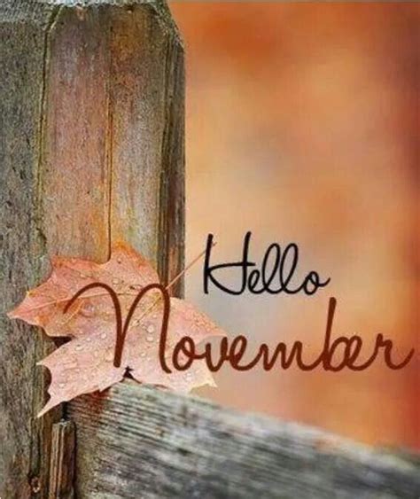 Pin By Bonnie Caldwell On Just Saying Hello November Welcome