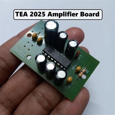 Dx Audio Amplifier Local Circuit Tea Ic Mono Audio