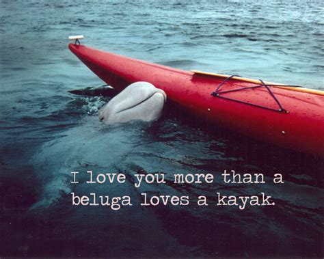 Love You More Than A Beluga Loves A Kayak Quotes Beluga Love Kayak