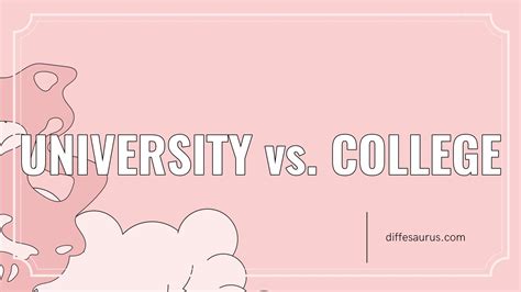 University Vs College All Differences Explained Diffesaurus