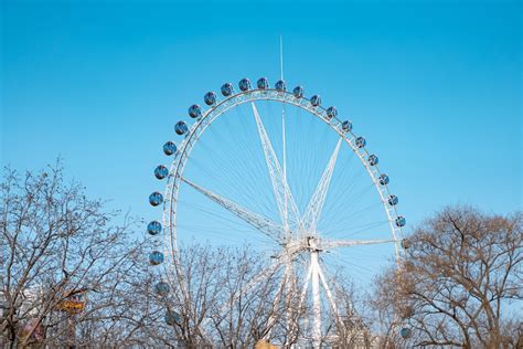 A Large Ferris Wheel In The Middle Of A Park Photo Free Fun Image On