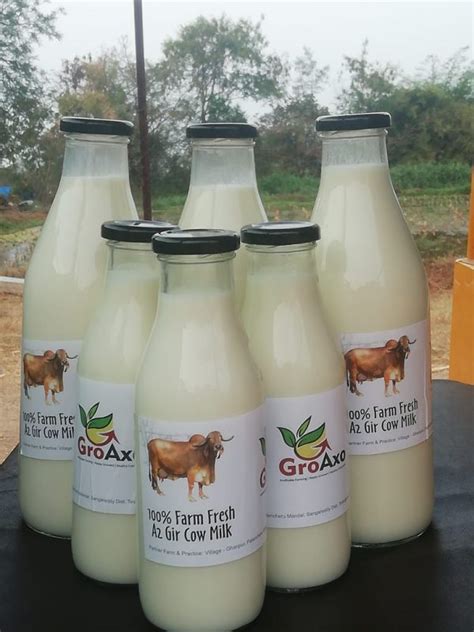 100 Farm Fresh A2 Gir Cow Milk 500 Ml