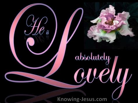 Song Of Solomon 5 16 He Is Absolutely Lovely Pink
