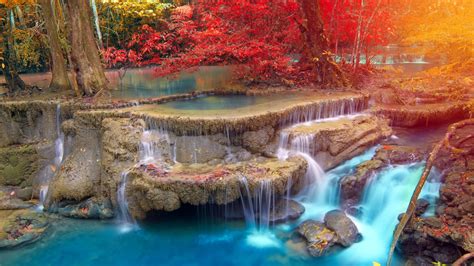 Yellow Red Autumn Trees On Stream Waterfall During Daytime 4k Nature Hd