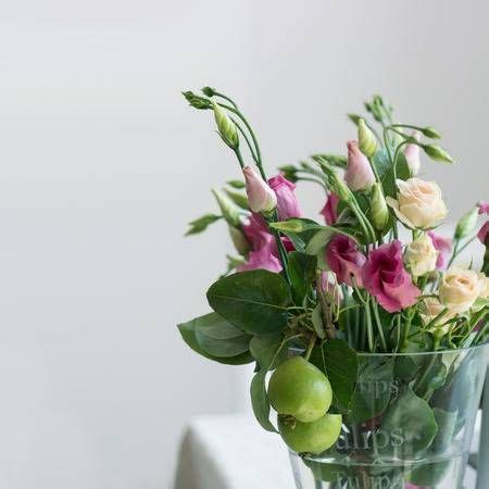 Consegna fiori bianchi a domicilio: Fiori Bianchi Vaso - Bush Di Piccoli Fiori Bianchi In Vaso Da Fiori Decorato In ... / Blu ...