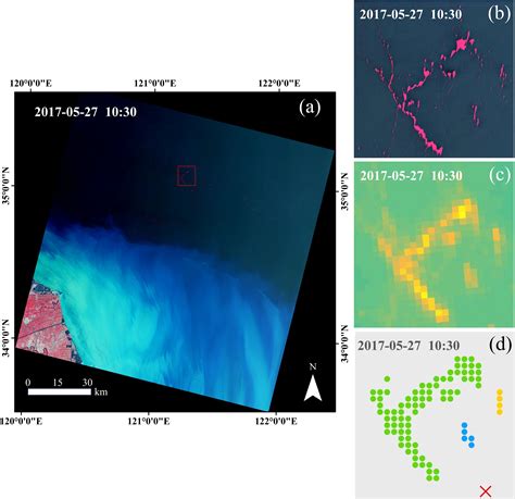 Frontiers A Novel Quantitative Analysis For Diurnal Dynamics Of Ulva