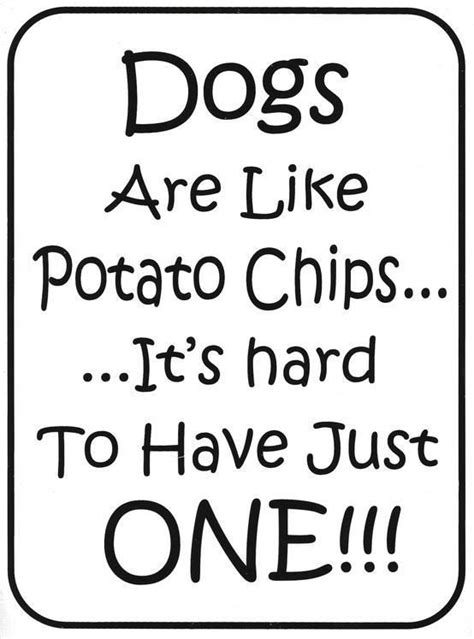 Dogs Are Like Potato Chips Dogs Animalquotes Animal
