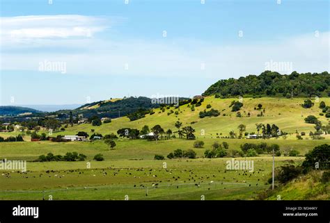 Rural Landscape New South Wales Australia Stock Photo Alamy