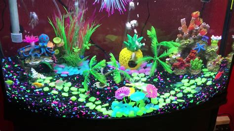 Fish Tank Glow Fish Youtube