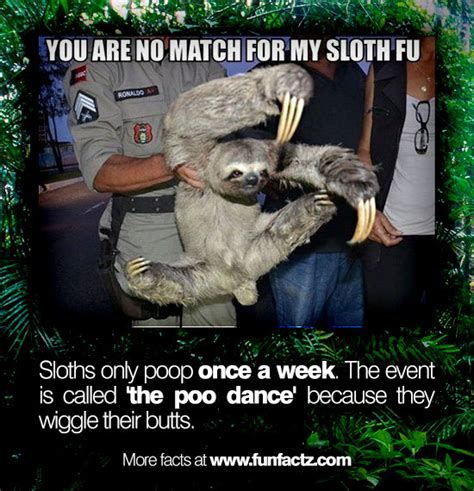 The Sloth Poop Dance