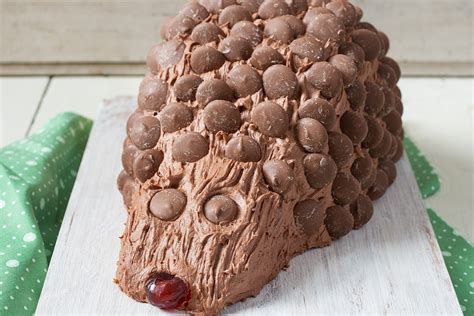 hedgehog novelty cake food ireland irish recipes