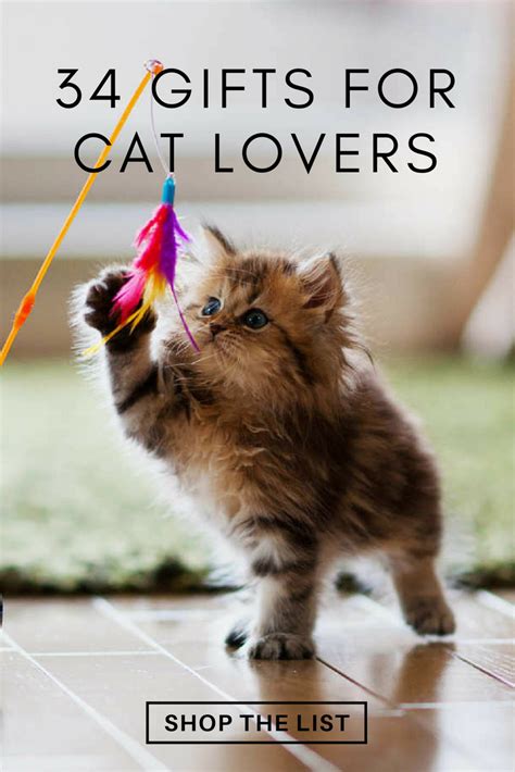 The 50 Best Ts For Cat Lovers According To Behaviorists And
