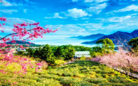 China Bloom On Cherry Spring Sky Clouds Trees Mountains