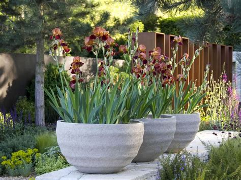Some pots or garden container ideas include many diys like can and bottle recycling. Best Large Planters | OutsideModern