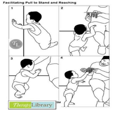 Facilitating Dynamic Sitting Balance Pediatric Physical