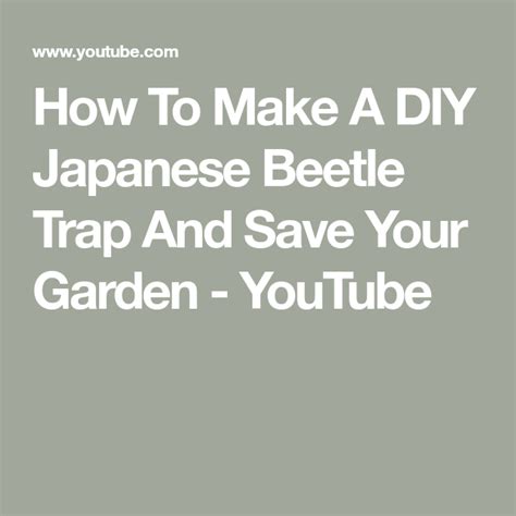 How To Make A Diy Japanese Beetle Trap And Save Your Garden Youtube