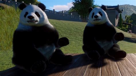 Planet Zoo Giant Panda Gameplay Pc Hd 1080p60fps Youtube