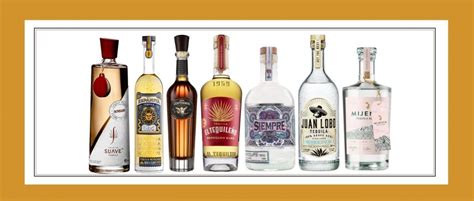 7 Best Tequila Brands That Importers Must Include In Their Portfolio