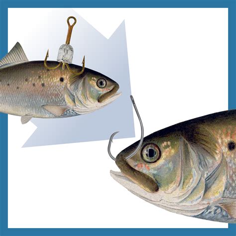 Circle Hooks For Striped Bass On The Water