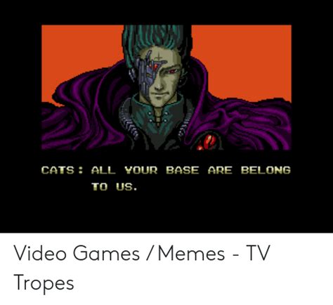 Cats All Your Base Arebelong To Us Video Games Memes Tv Tropes Cats