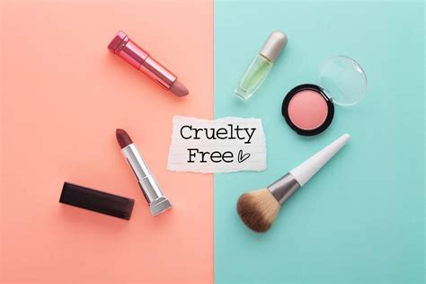 How To Choose Vegan Cruelty Free Cosmetics Brands In India