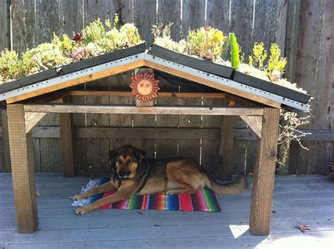 3 Practical Tips For Building Your Own Dog House In 2020 Diy Dog