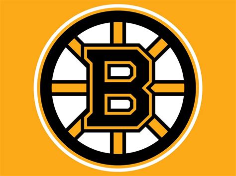 Boston Bruins Nhl Hockey Wikia Fandom