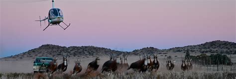 In a file, capture streaming media from. Helicopter wildlife game capture and darting in South ...