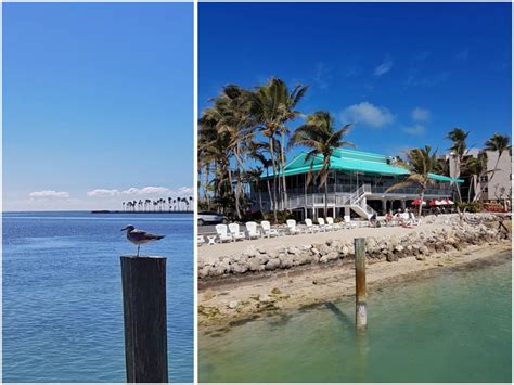Islamorada Florida Keys Best Beach Bars Travelchecker