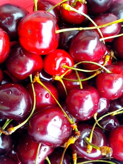 Free Picture Ripe Red Cherries